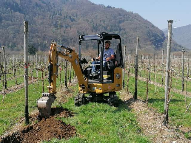 R.G.M. srl - Servizi - Lavori forestali - Vigneti