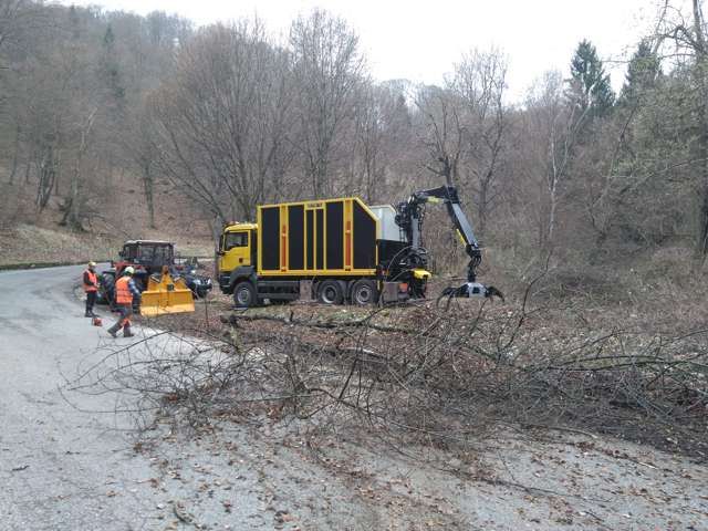 R.G.M. srl - Servizi - Manutenzione del verde - Potature e taglio piante