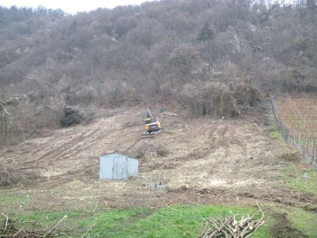 R.G.M. srl - Servizi - Lavori forestali - Vigneti